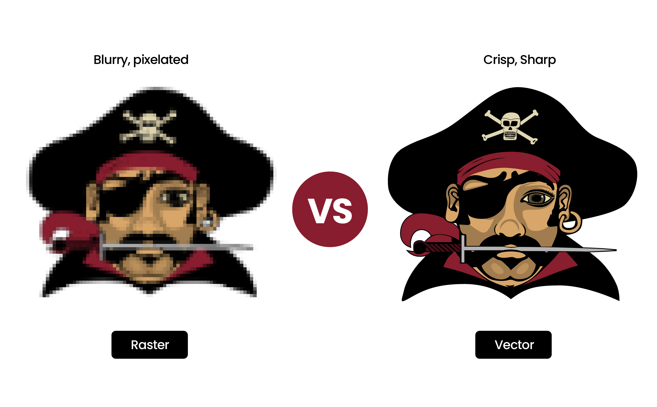 Vector vs Raster Images: Complete Guide 2025